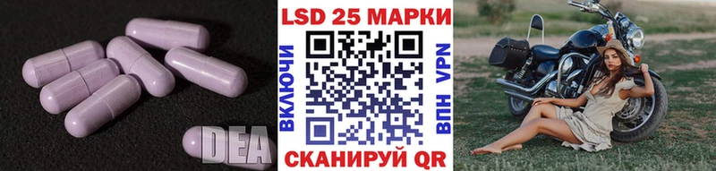 LSD-25 экстази кислота  darknet наркотические препараты  Лермонтов 