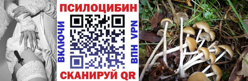 наркотики Лермонтов MEGA Галлюциногенные грибы MAGIC MUSHROOMS